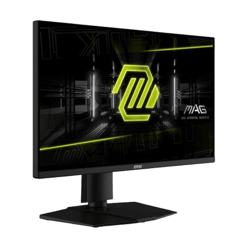 MSI 24.5 inch FHD Rapid IPS 300Hz gaming monitor