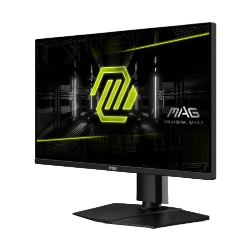 MSI 24.5 inch 300Hz gaming display